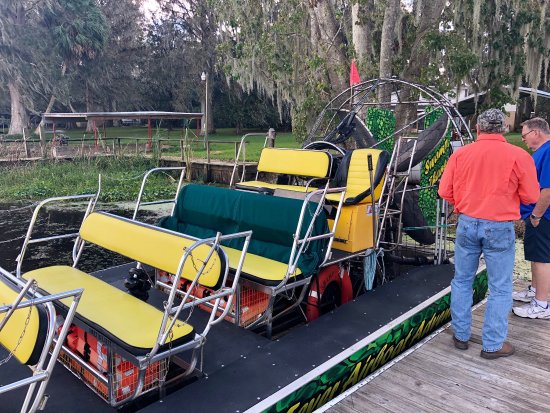 swamp fever airboat adventures